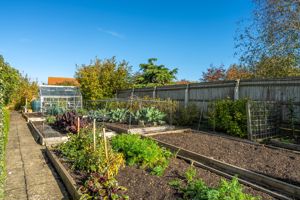 Vegetable garden- click for photo gallery